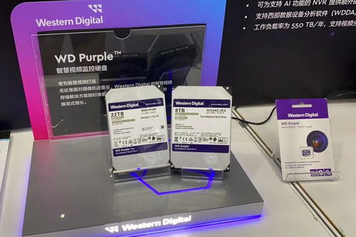 西部數(shù)據(jù)亮相2023物聯(lián)網(wǎng)產(chǎn)業(yè)大會 以專業(yè)存儲與數(shù)據(jù)處理方案，賦能萬物智聯(lián)新時代